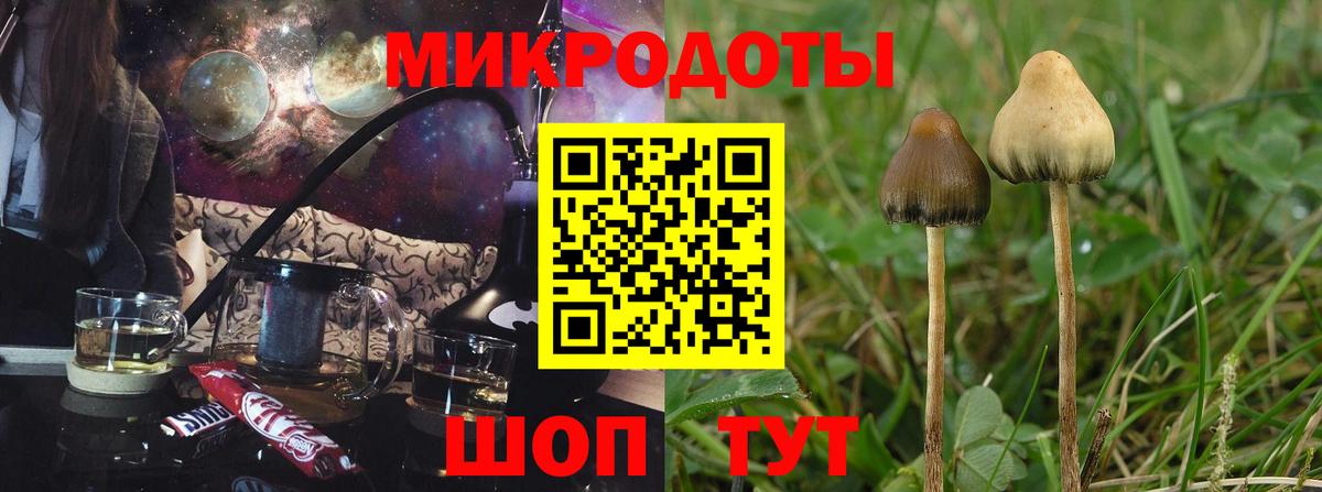 Галлюциногенные грибы ЛСД Карабулак