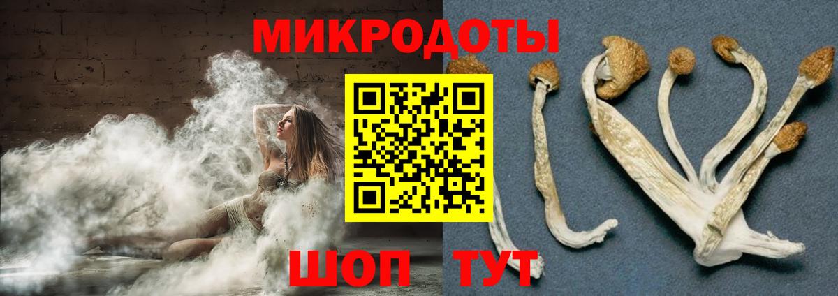 Карабулак  Галлюциногенные грибы GOLDEN TEACHER  Вход с VPN 